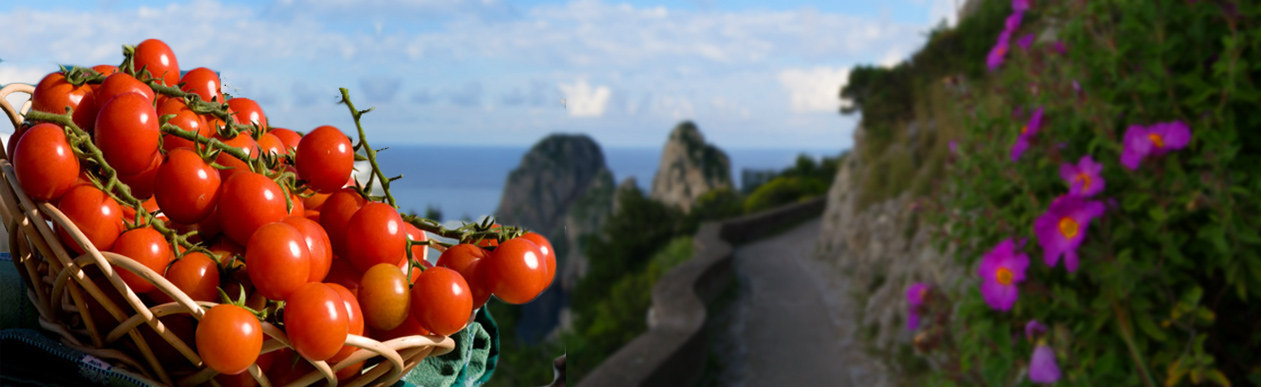 LA MIGLIORE FRUTTA VERDURA PER <strong>Ristoranti-Hotel-Negozi-Bar-Stabilimenti Balneari </strong>